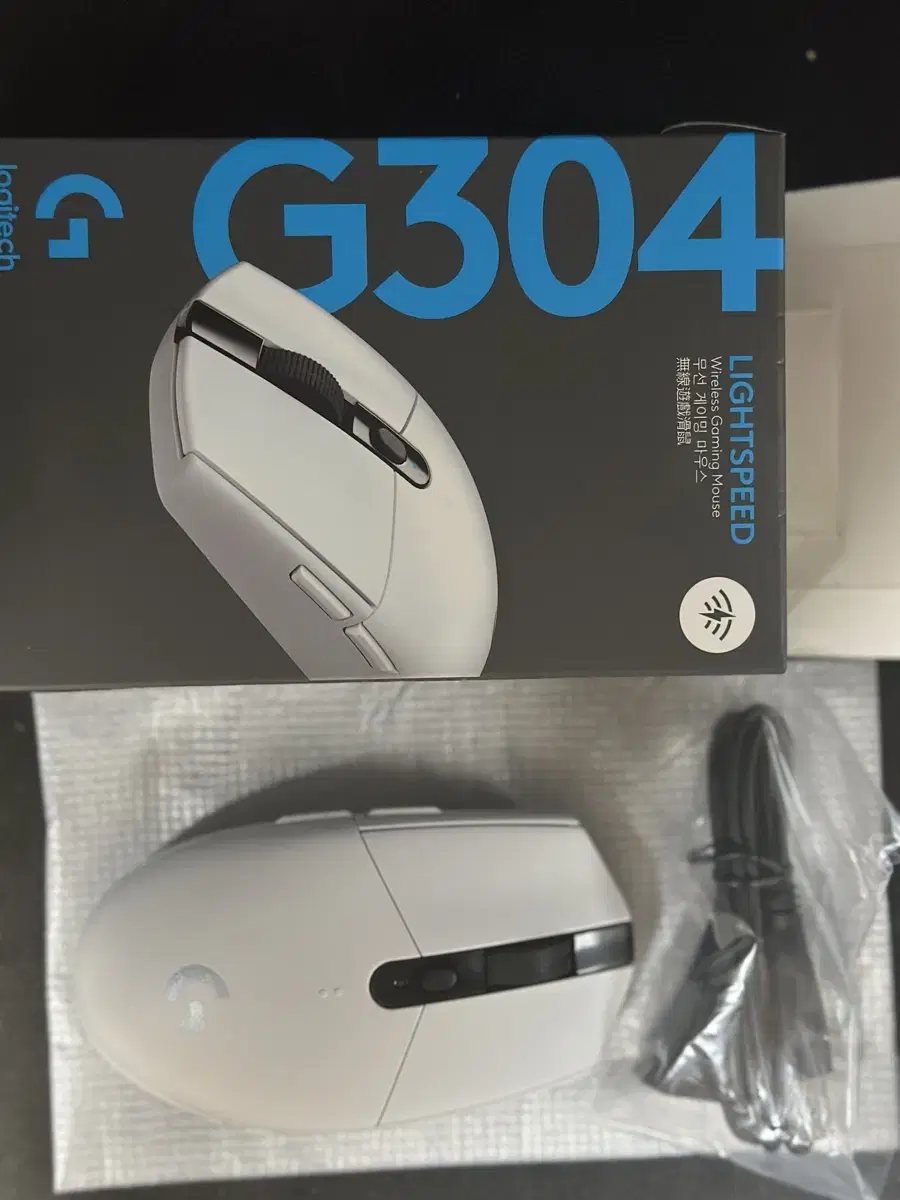 로지텍 g304